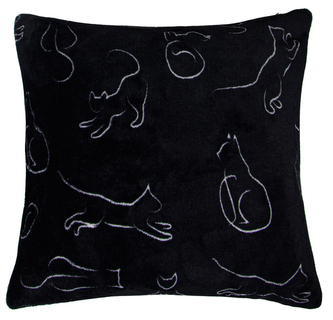 Polštář KITTENS černá 40x40cm mikrovlákno, ESSEX