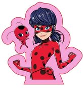 POLŠTÁŘ KOUZELNÁ BERUŠKA