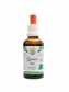 Salvia paradise - Gymnéma lesní AF tinktura 50 ml Gymnema sylvestre