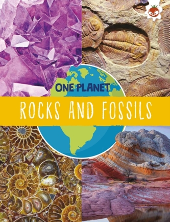 Rocks and Fossils