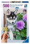 Puzzle 500 Śliczny Husky