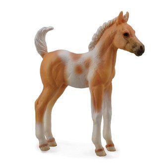 Źrebię Pinto Palomino stojące