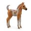 Źrebię Pinto Palomino stojące
