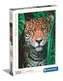 Puzzle 500 HQ Jaguar in the Jungle