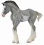 Źrebię Clydesdale Foal Blue Roan