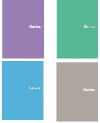 Kołozeszyt A6/80K kratka Genius mini 2 (4szt)