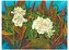 Puzzle 1000 Gardenie dla Katie, Valerie Fowler