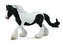 COLLECTA Gypsy Mare - Black & White Piebald