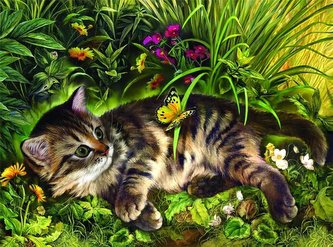 Puzzle 1000 Zabawa kotka w ogrodzie