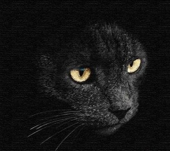 Malowanie po numerach - Spojrzenie drapieżnika Malowanie po numerach - Spojrzenie drapieżnika