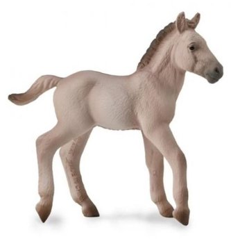 Konik Foal - Blue Dun