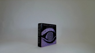 Malý labyrint literatury