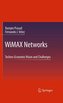 Wimax Networks: Techno-Economic Vision and Challenges